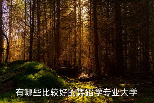 舞蹈系的大学有哪些，本科舞蹈专业学校有哪些