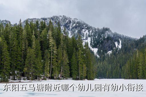 东阳五马塘附近哪个幼儿园有幼小衔接