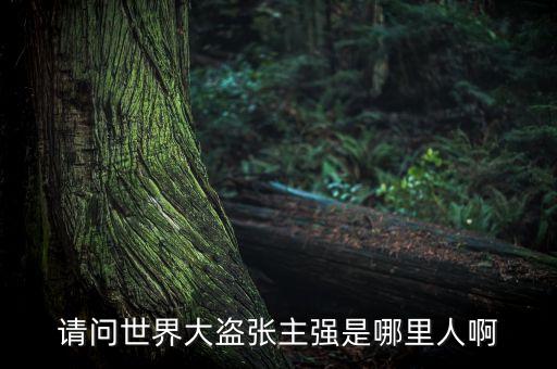 请问世界大盗张主强是哪里人啊