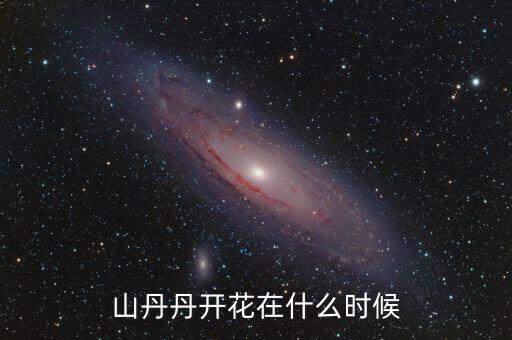 山丹丹开花在什么时候