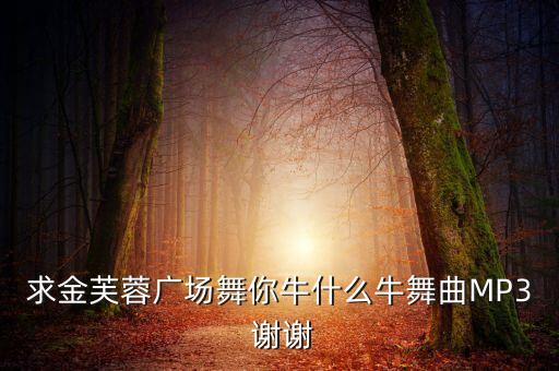 你牛什么牛广场j舞曲下载，ok下载舞曲你牛什么牛