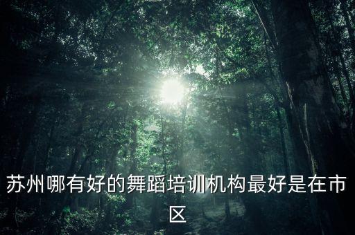 零基础形体舞蹈金金 苏州，苏州哪有好的舞蹈培训机构最好是在市区