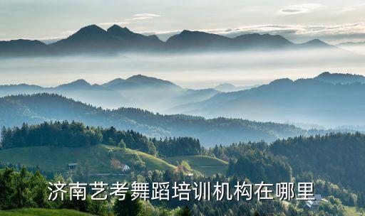 济南舞蹈集训学校，济南哪里有艺考舞蹈培训学校