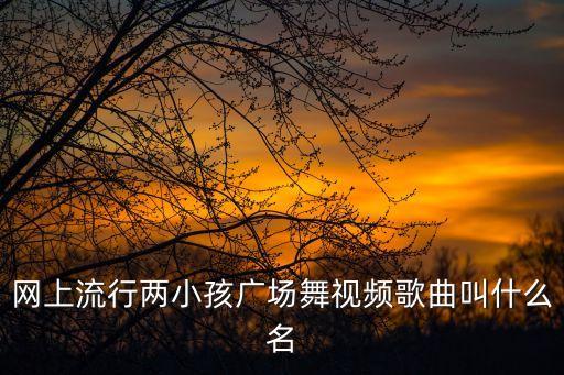 网上流行两小孩广场舞视频歌曲叫什么名