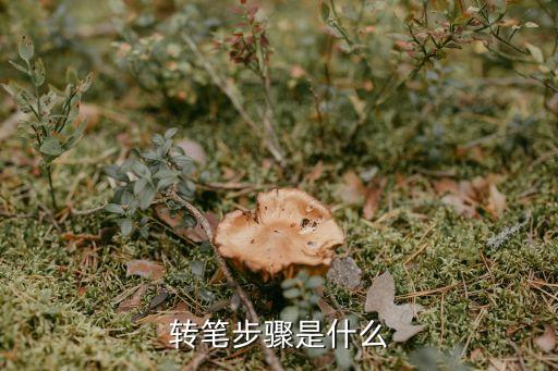 什么是点步转，请问蹉步拉腿跳挥边转旁腿转的基本要领是什么