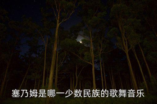塞乃姆是哪一少数民族的歌舞音乐