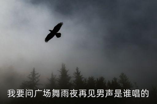 我要问广场舞雨夜再见男声是谁唱的