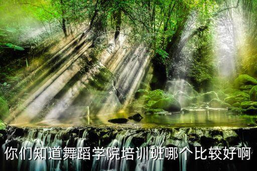 舞蹈进修班什么班，哪里有进修班性质的舞蹈编导专业可以学