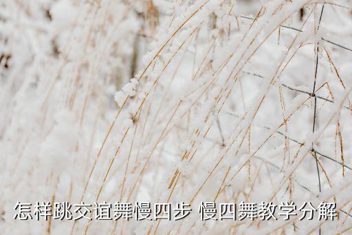 怎样跳交谊舞慢四步 慢四舞教学分解