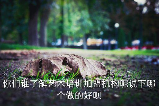 你们谁了解艺术培训加盟机构呢说下哪个做的好呗