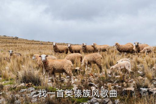 找一首类傣族风歌曲