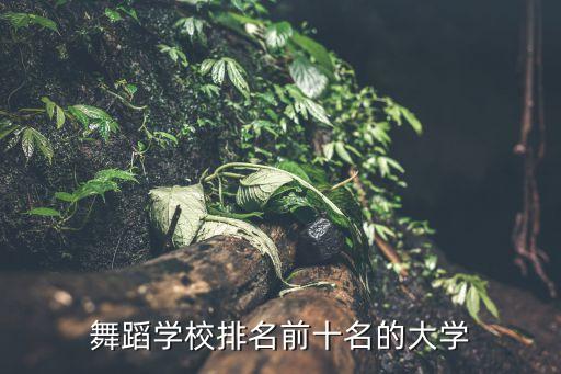 舞蹈专业综合分录取的学校排名，舞蹈学校排名前十名的大学