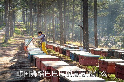 韩国舞蹈巴巴巴的意思是什么