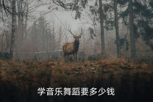 学音乐舞蹈要多少钱