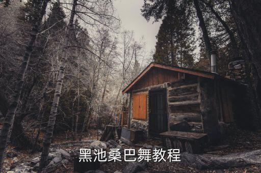 黑池桑巴舞教程