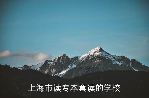 上海的高本贯通有哪些学校，上海市读专本套读的学校