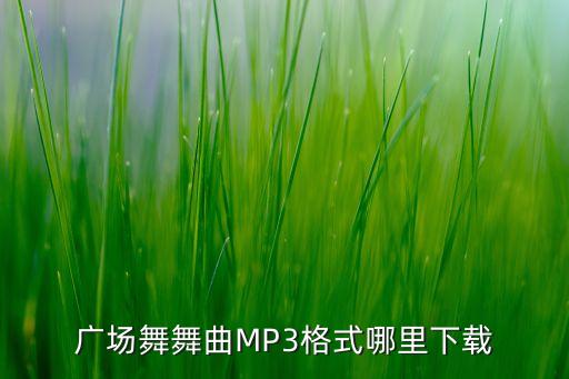 广场舞舞曲MP3格式哪里下载