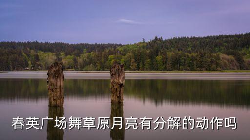 春英广场舞草原月亮有分解的动作吗