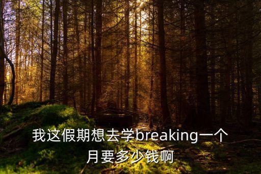 我这假期想去学breaking一个月要多少钱啊