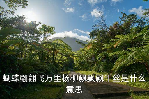 蝴蝶翩翩舞什么意思，我是壁虎等待蚊子你是蝴蝶翩翩飞舞什么意思