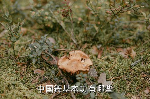 中国舞跳舞是怎么跳的，中国舞基本功有哪些