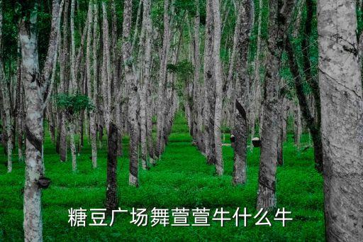 糖豆广场舞萱萱牛什么牛