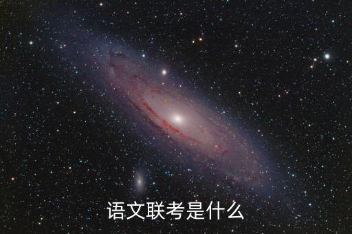 语文联考是什么