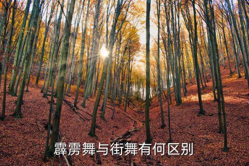 霹雳舞与街舞有何区别