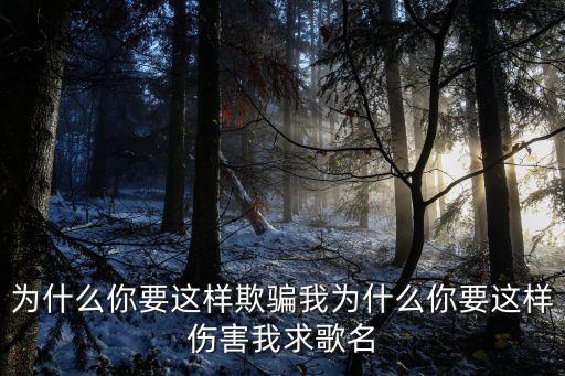 为什么你要这样欺骗我为什么你要这样伤害我求歌名