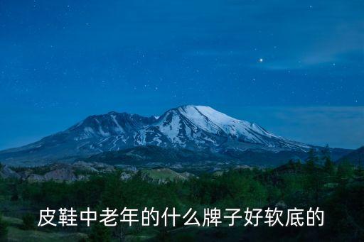 皮鞋中老年的什么牌子好软底的