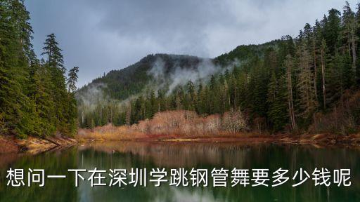 深圳学跳舞多少钱，有谁知道深圳南山区学街舞要多少钱