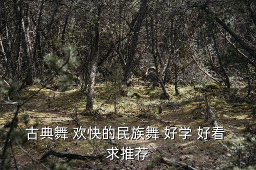 古典舞 欢快的民族舞 好学 好看 求推荐
