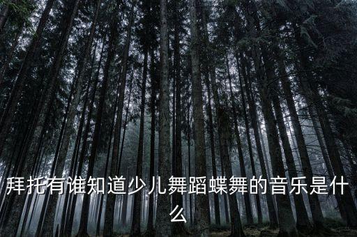 拜托有谁知道少儿舞蹈蝶舞的音乐是什么