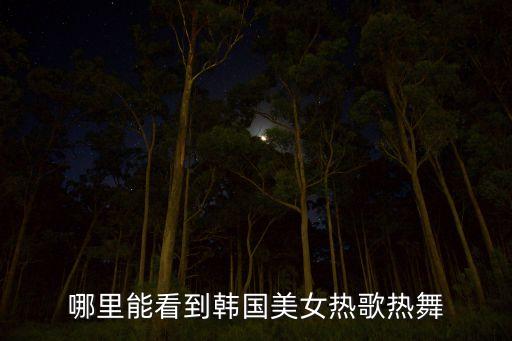 韩国女团舞蹈哪个网站，韩国女团secret劈腿扭腰热舞在哪可以看到完整版