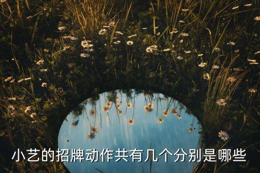 小艺的招牌动作共有几个分别是哪些