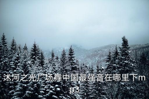爱你流过多少泪广场舞沭河之光，沭河之光广场舞中国最强音在哪里下mp3