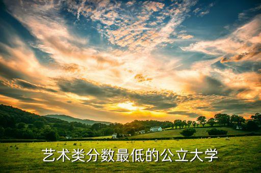 艺术类分数最低的公立大学