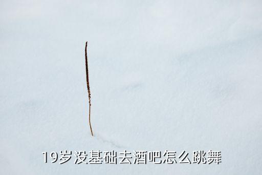 怎么学酒吧跳舞视频教学视频教学，19岁没基础去酒吧怎么跳舞