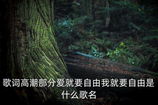 歌词高潮部分爱就要自由我就要自由是什么歌名