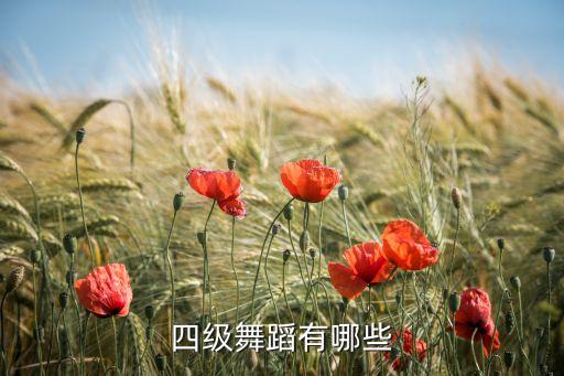 四级舞蹈有哪些