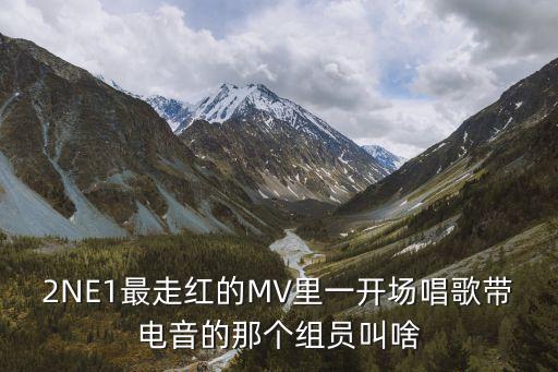 2NE1最走红的MV里一开场唱歌带电音的那个组员叫啥