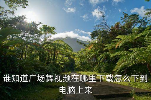 广场舞歌曲在哪个网站下载视频播放，现在有什么网站软件可以下载一些广场舞之类的MV要求能复制