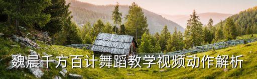 舞蹈教学视频中国舞，教跳舞蹈的MV