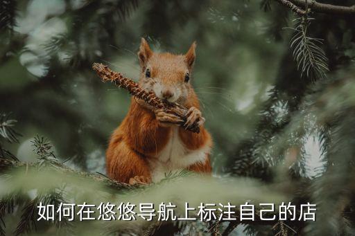 如何在悠悠导航上标注自己的店