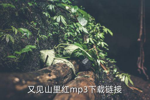 又见山里红mp3下载链接