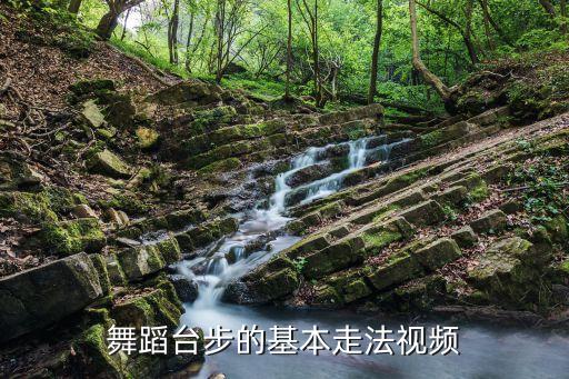 舞蹈台步的基本走法视频