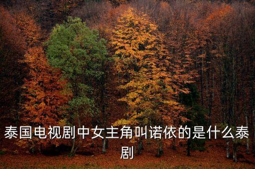 泰国电视剧中女主角叫诺依的是什么泰剧