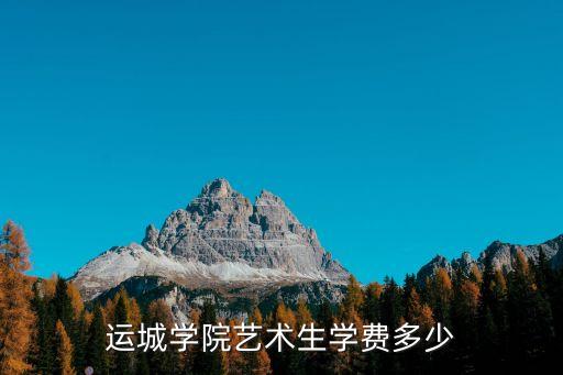 运城学院艺术生学费多少