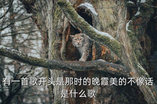 那时的晚霞总美的不像话是什么歌，有一首歌开头是那时的晚霞美的不像话是什么歌