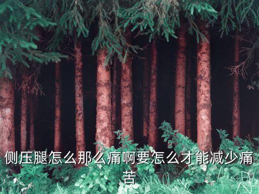 侧压腿怎么那么痛啊要怎么才能减少痛苦
